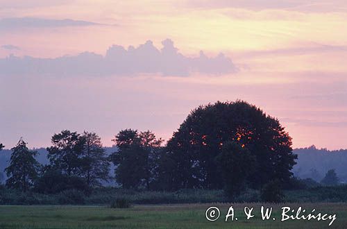 Mazowsze