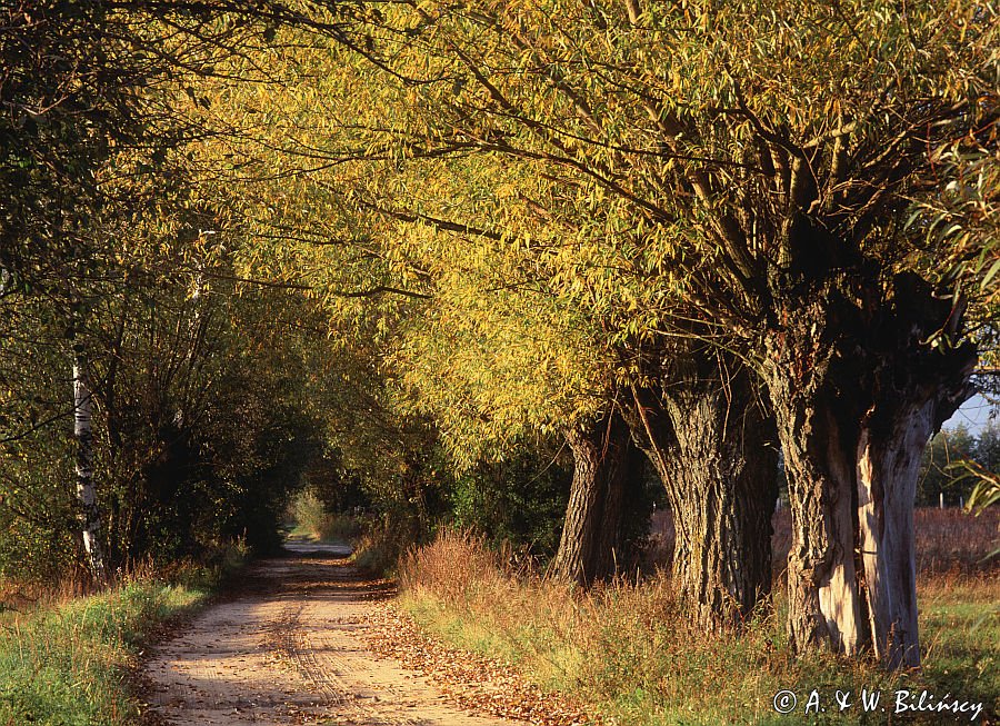 Chojnowski Park Krajobrazowy