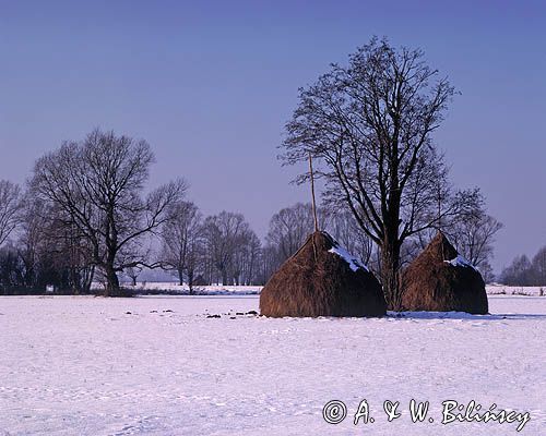 Mazowsze, kopki siana, Mazowiecki Park Krajobrazowy