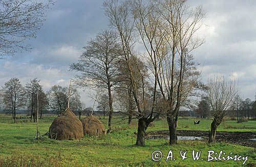 Mazowsze, Mazowiecki Park Krajobrazowy