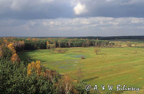 Mazowsze, Mazowiecki Park Krajobrazowy