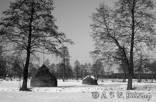 Mazowiecki Park Krajobrazowy, stogi siana