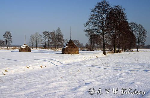 Mazowiecki Park Krajobrazowy, stogi siana