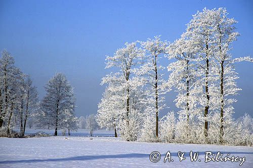 Mazowsze