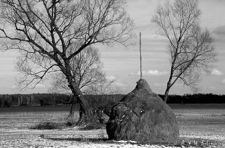 Kampinoski Park Narodowy, stóg siana