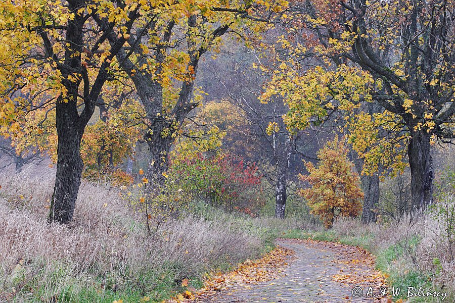 jesienna droga, Mazury