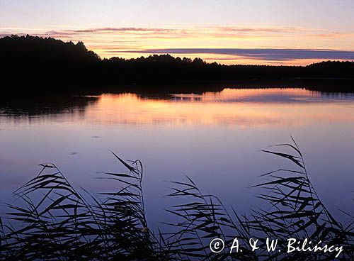 Mazury jezioro Świętajno, inaczej Narty