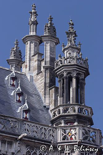 Middelburg, fragment zabytkowego Ratusza, Holandia
