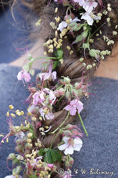 Przystrojenie dziewczecego warkocza na świeto Midsommar, Berg, Kanał Gota, Szwecja