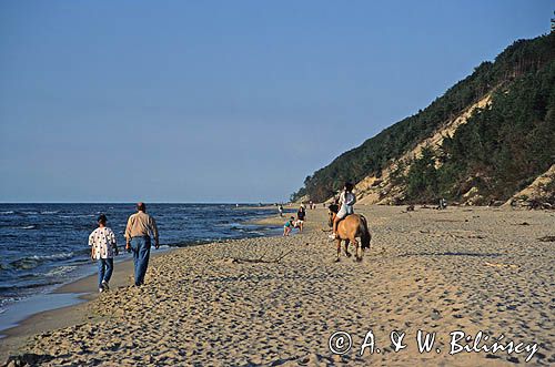 plaża w Międzyzdrojach, Wyspa Wolin