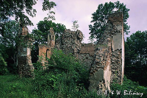 Ruiny na Zamkowej Górze w Mielniku nad Bugiem