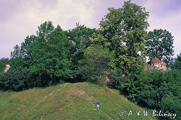 Ruiny na Zamkowej Górze w Mielniku nad Bugiem