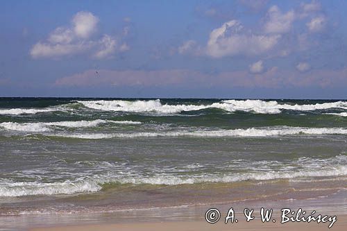 plaża na Mierzei Kurońskiej, Neringa, Litwa beach, Curonian Spit, Neringa, Lithuania