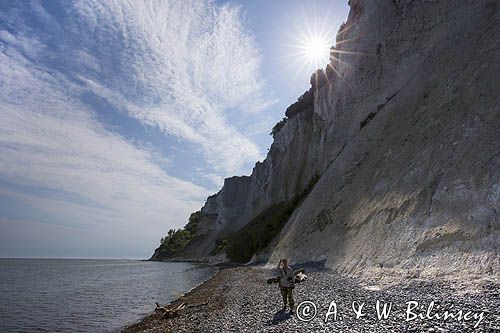 Kredowe klify na wyspie Mon, Mons Klint, Wyspa Mon, Dania