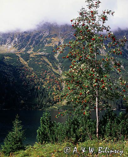 Tatry nad Morskim Okiem