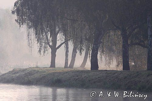 Muritz-Elde wasser strasse, Pojezierze Meklemburskie, Meklemburgia-Pomorze Przednie, Niemcy