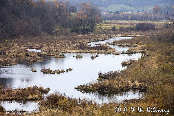 Krzywy uśmieszek Sanu, San w Myczkowcach, Bieszczady