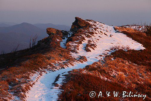 Bukowe Berdo, Bieszczady