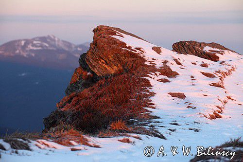 Bukowe Berdo, Bieszczady