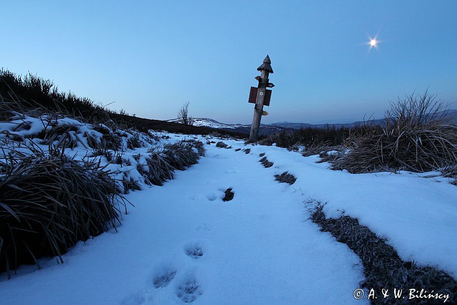 przed świtem, Bukowe Berdo, Bieszczady