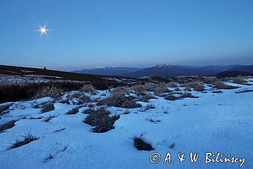 przed świtem, Bukowe Berdo, Bieszczady