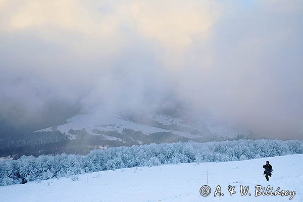 Na Połoninie Caryńskiej, Bieszczady