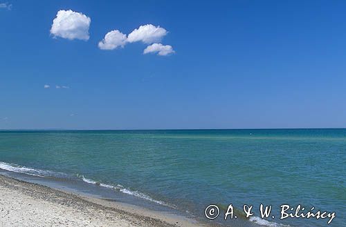 plaża nad Bałtykiem, Rowy