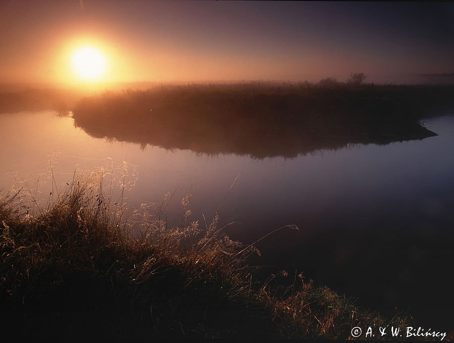 Nad Narwią