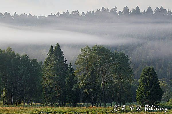 Poranne mgły, Bieszczady