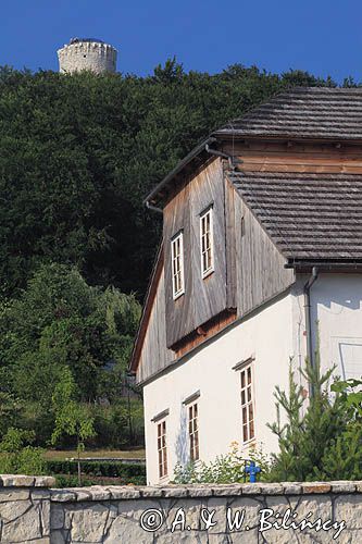 Muzeum - Nadwiślański Park Etnograficzny w Wygiełzowie, Lipowcu, dwór z Drogini i zamek Lipowiec