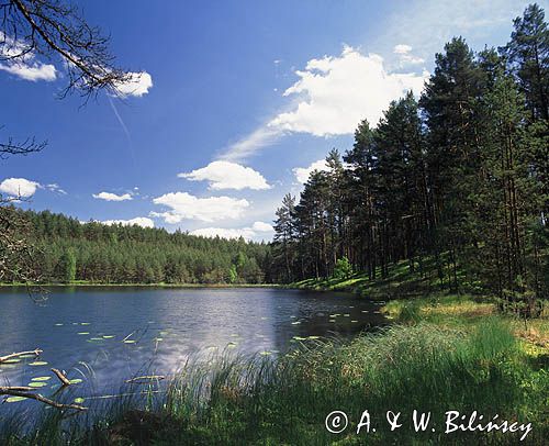jeziorko na Kaszubach