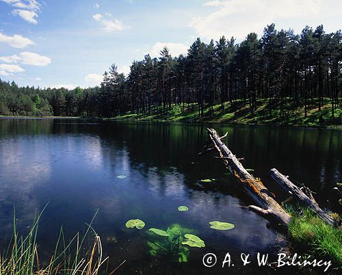 na Kaszubach