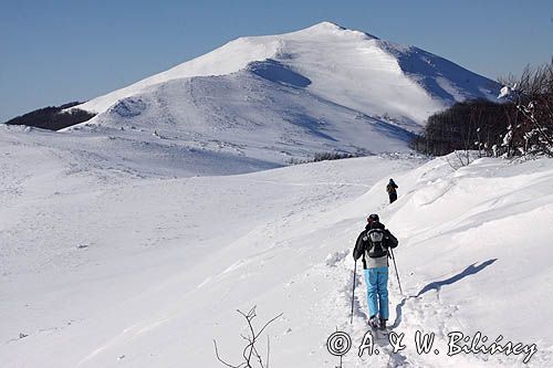 na Połoninie Wetlińskiej, w tle Smerek, Bieszczady