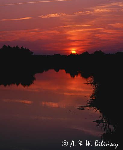 rzeka Narew, Narwiański Park Narodowy