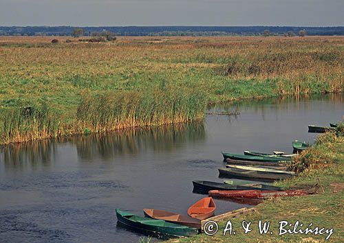 Rzeka Narew, Narwiański Park Narodowy