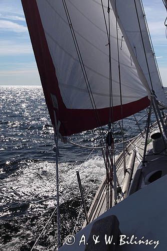 na Safranie, Safran pod żaglami, Bałtyk, Zatoka Botnicka