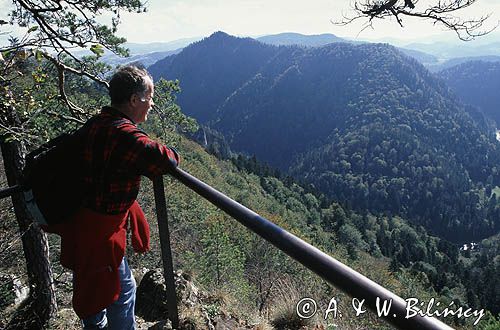 Pieniny, na Sokolicy