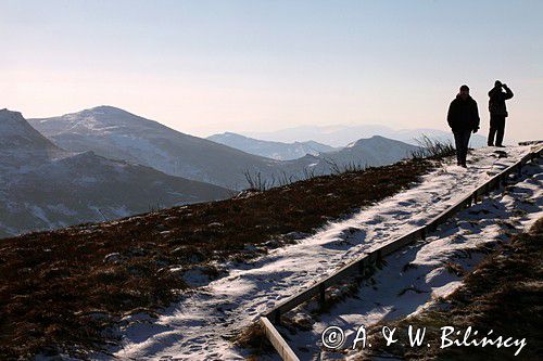 Bukowe Berdo, Bieszczady