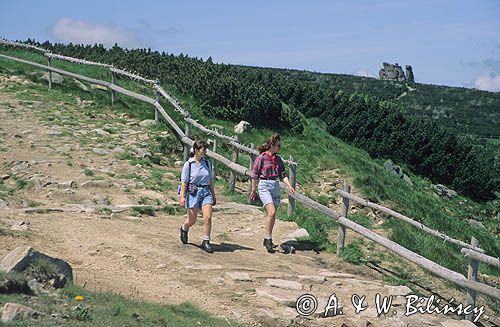 Karkonosze, turyści na szlaku