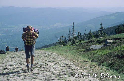 Karkonosze, turyści na szlaku