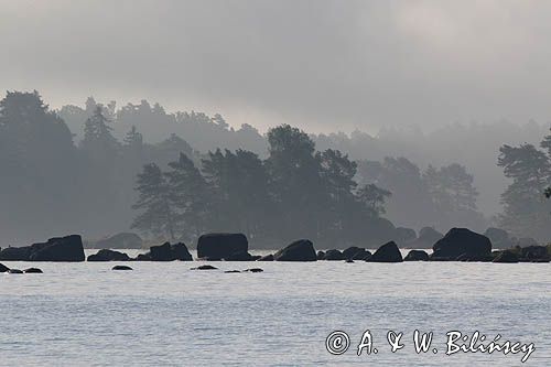 We mgle, Zatoka Fińska, Finlandia