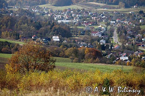 wieś Niebocko, panorama, gmina Dydnia powiat Brzozów, Pogórze Dynowskie