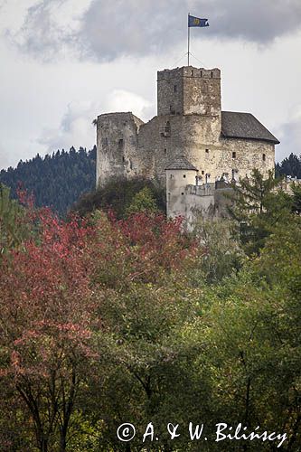 Zalew Czorsztyński, Zamek Dunajec w Niedzicy, Pieniny