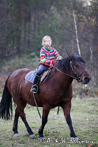 dziewczynka i hucuł Nisan