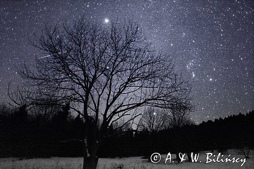 gwiezdne niebo,Bieszczady, pas Oriona, gwiazdozbiór Oriona, mgławice Oriona