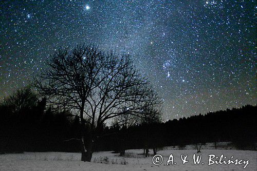 gwiezdne niebo,Bieszczady, pas Oriona, gwiazdozbiór Oriona, mgławice Oriona