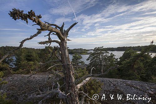 Wyspa Nolston, Archipelag Turku, Finlandia