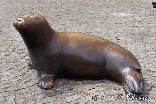 pomnik foki w Norderney na wyspie Norderney, Wyspy Wschodnio-Fryzyjskie, Waddenzee, Niemcy, Morze Wattowe