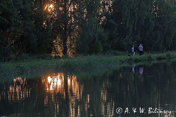 W Norrkvarn, Kanał Gota, Gotajski, Szwecja