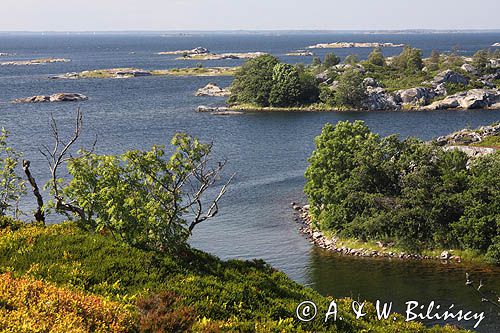 w archipelagu Norrpada, szkiery koło Sztokholmu, Szwecja Norrpada, Stockholm skierries, Stockholm Archipelago, Sweden